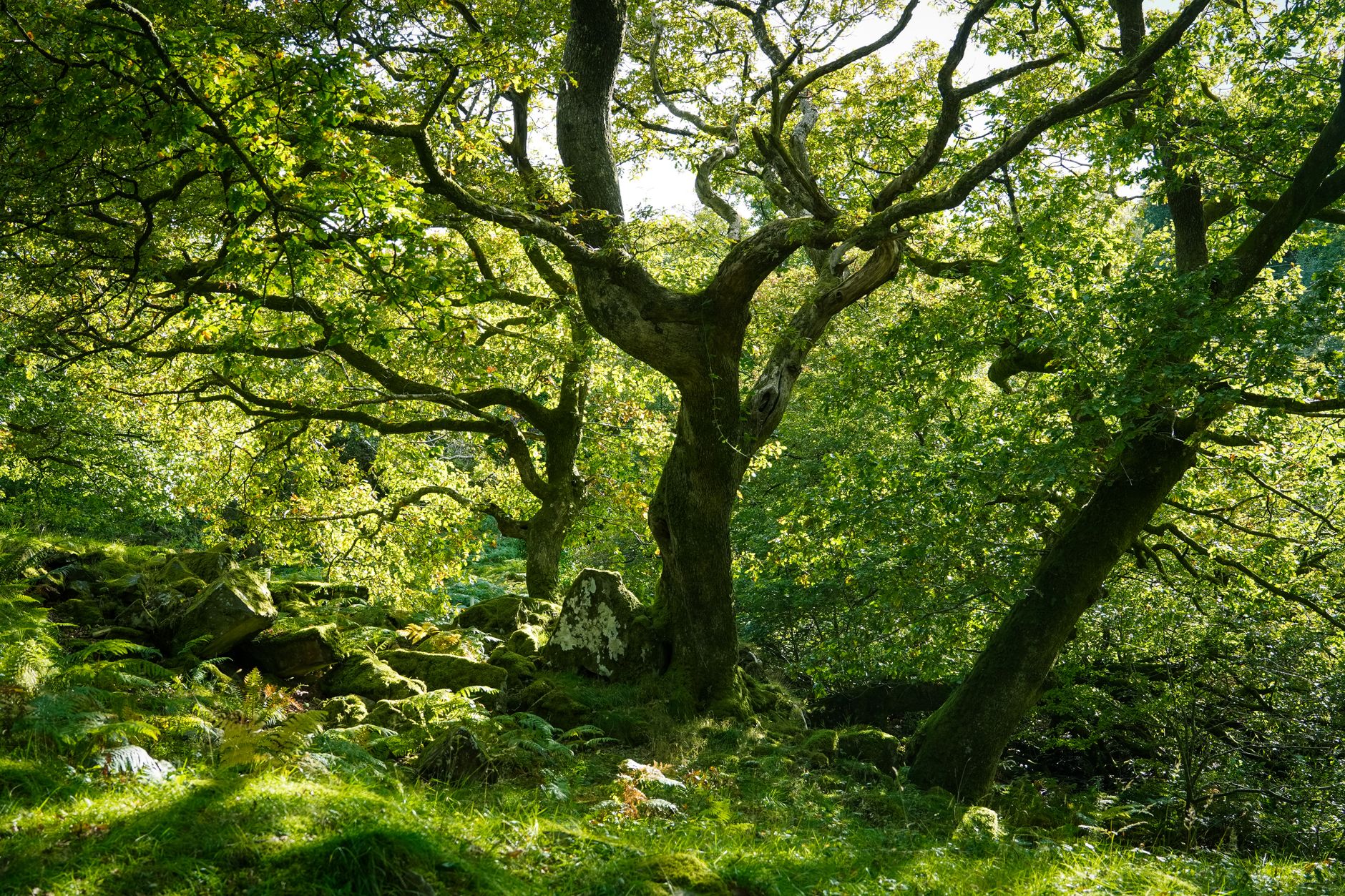 Kenfig National Nature Reserve