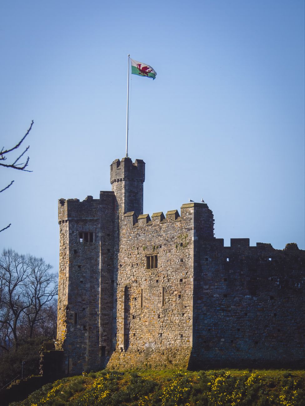 Pembroke Castle