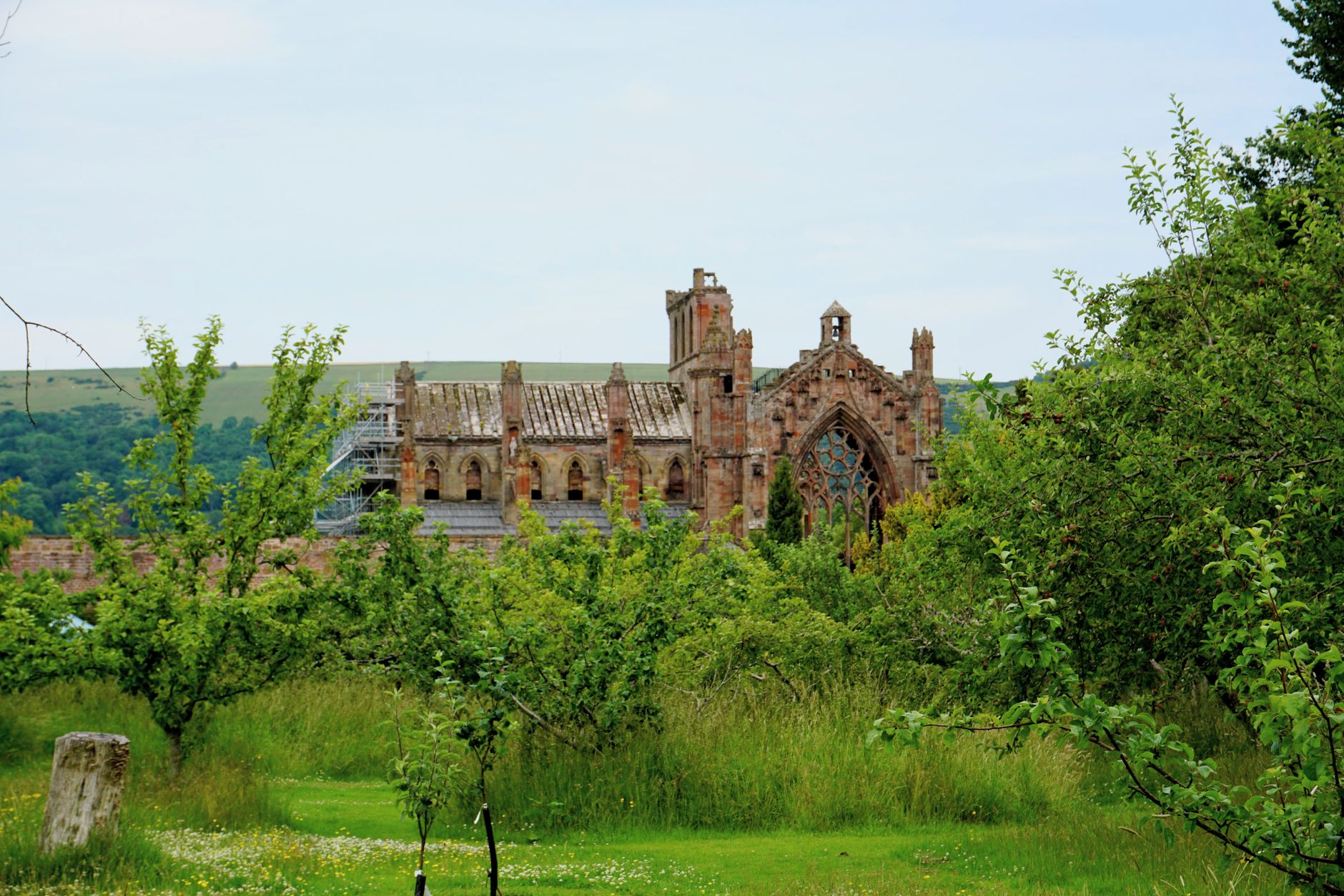 Melrose Abbey