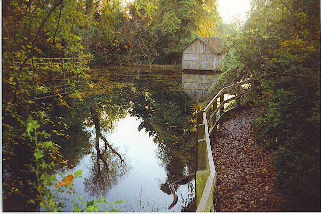 Silent Pool, Surrey